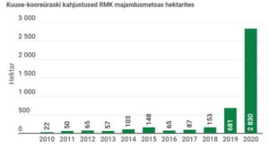 Kuuse-kooreyraski_kahjustused_2010-2020